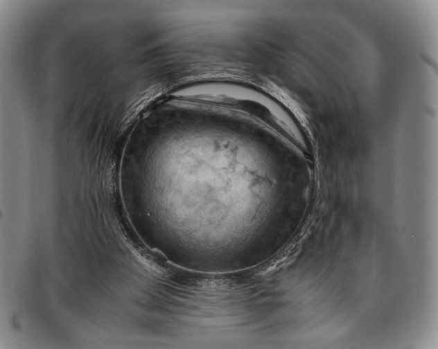 X0000096640105200802191228