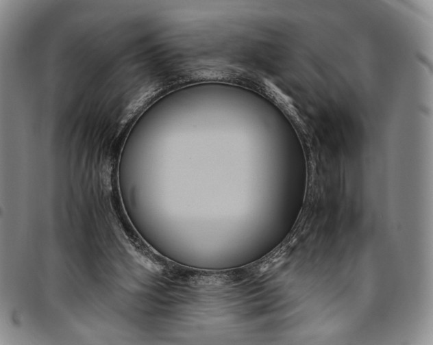 X0000096640106200802191228