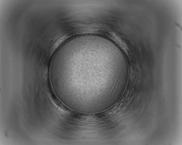 X0000096640107200802191228