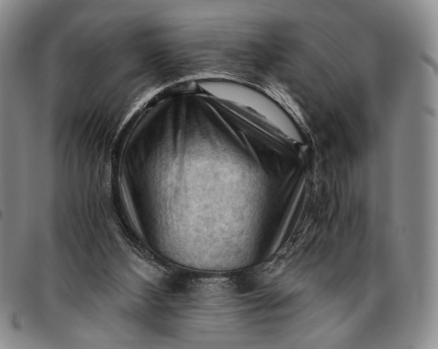 X0000096640108200802191228