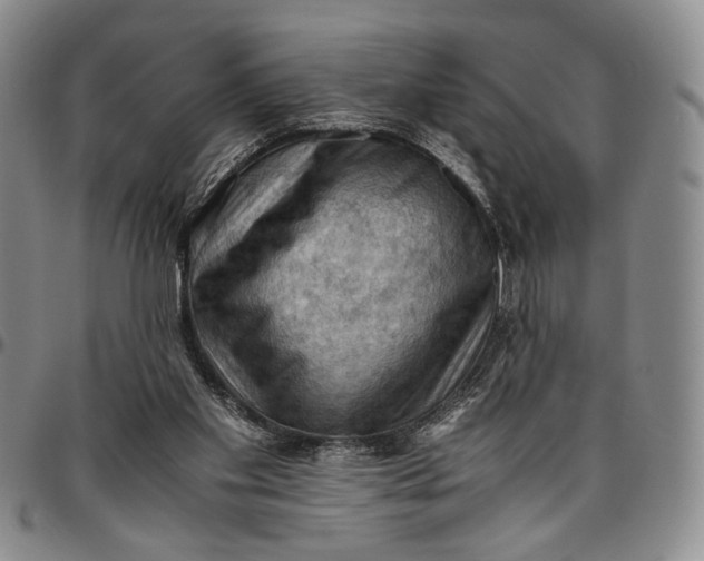 X0000096640109200802191228