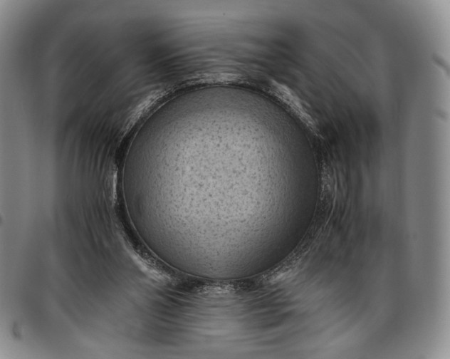 X0000096640110200802191228