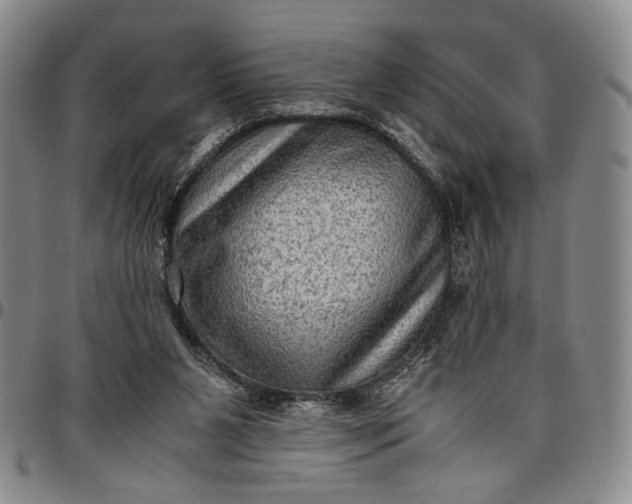 X0000096640111200802191228