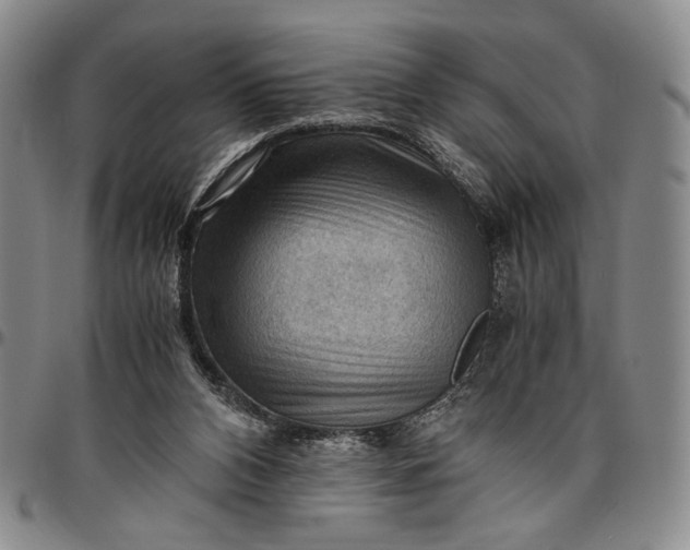 X0000096640112200802191228