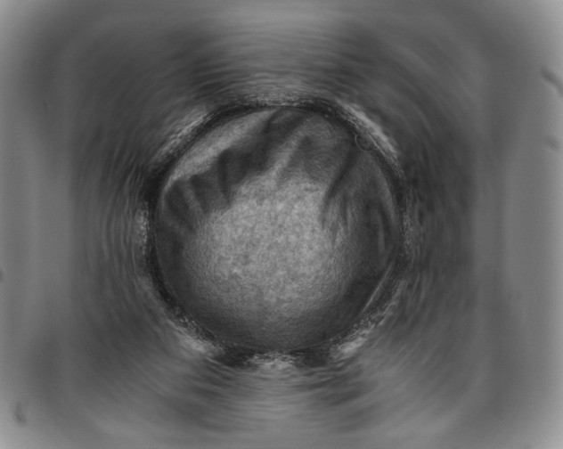 X0000096640113200802191228