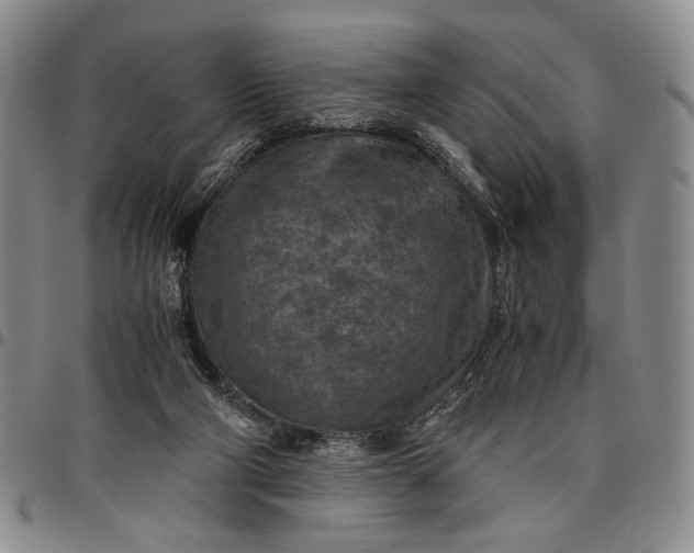 X0000096640114200802191228