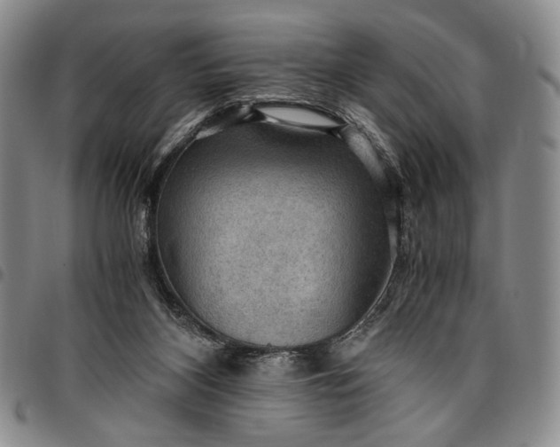 X0000096640116200802191228