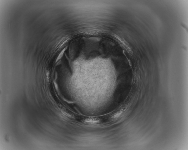 X0000096640117200802191228