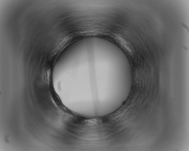 X0000096640118200802191228