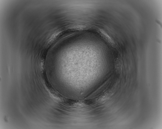 X0000096640119200802191228