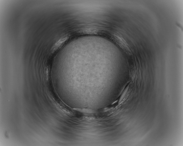 X0000096640120200802191228