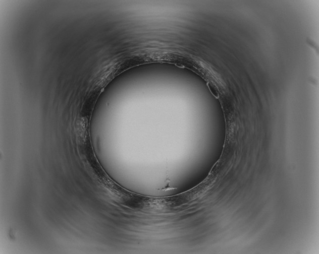 X0000096640121200802191228