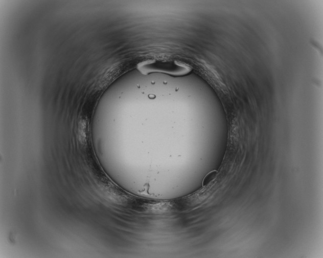 X0000096640122200802191228