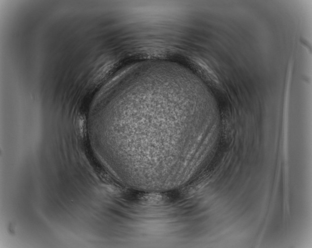 X0000096640123200802191228