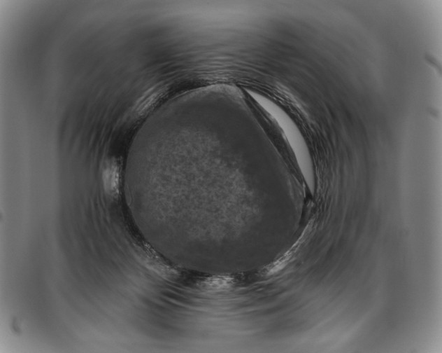 X0000096640124200802191228