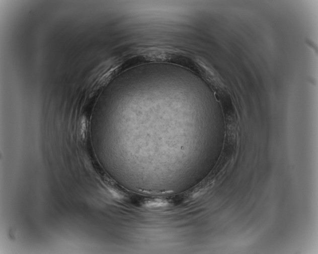 X0000096640125200802191228