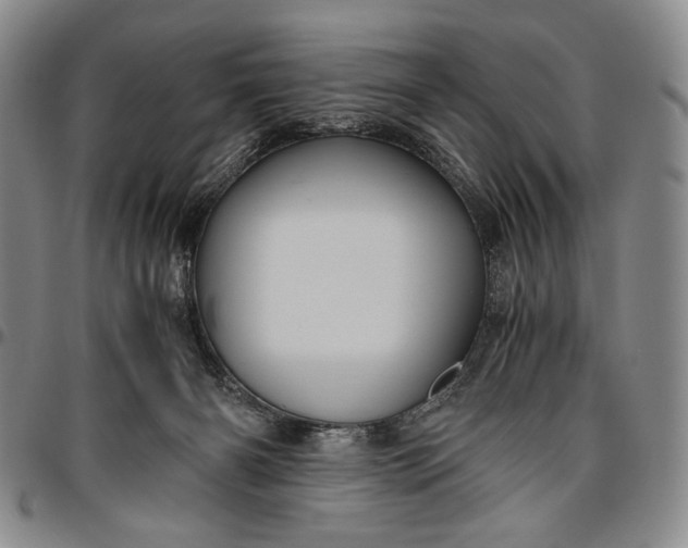 X0000096640126200802191228