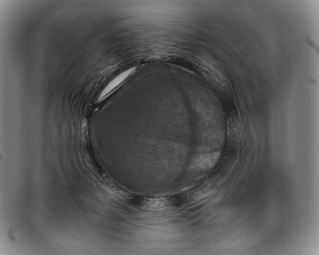 X0000096640127200802191228