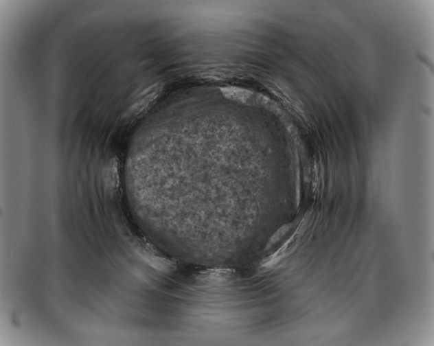 X0000096640128200802191228