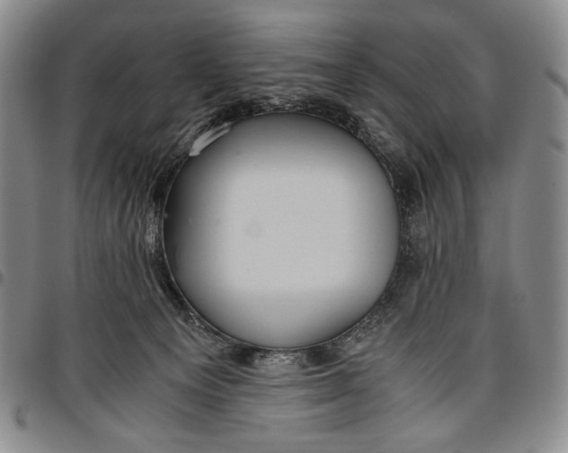 X0000096640129200802191228