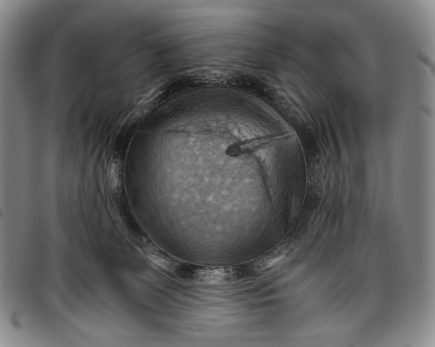 X0000096640131200802191228