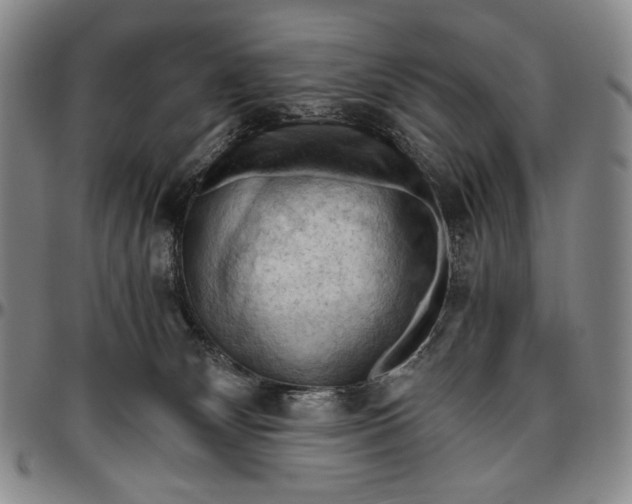 X0000096640132200802191228