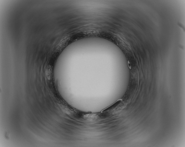 X0000096640133200802191228