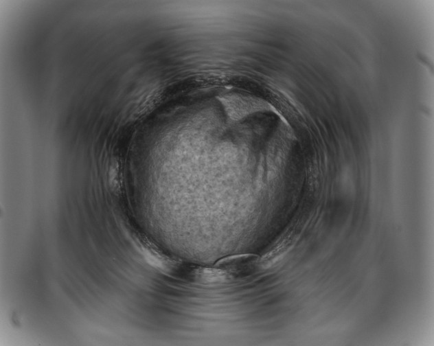 X0000096640134200802191228