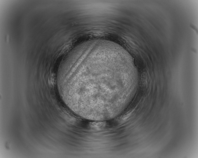 X0000096640135200802191228