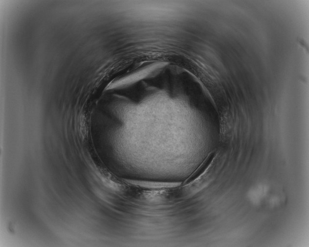 X0000096640136200802191228