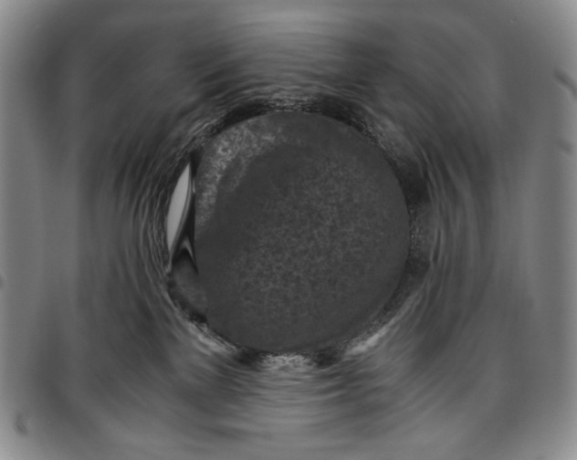 X0000096640137200802191228