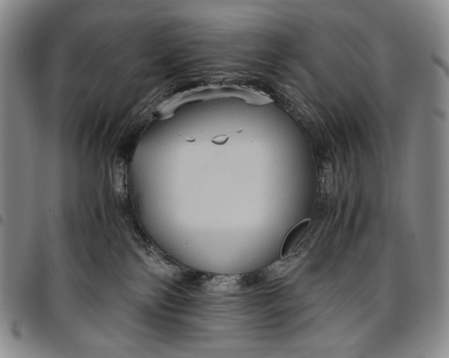 X0000096640138200802191228