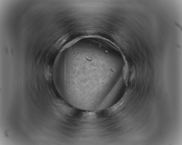 X0000096640140200802191228