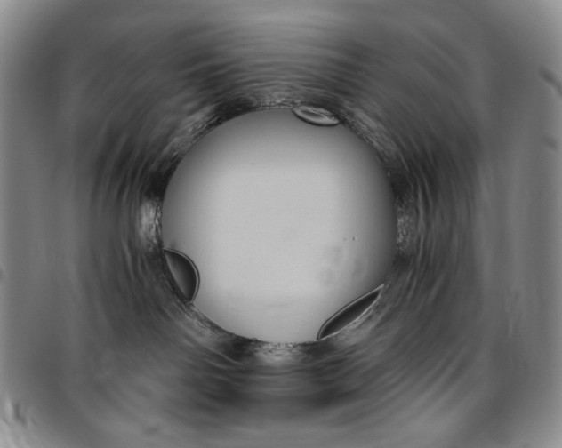 X0000096640142200802191228