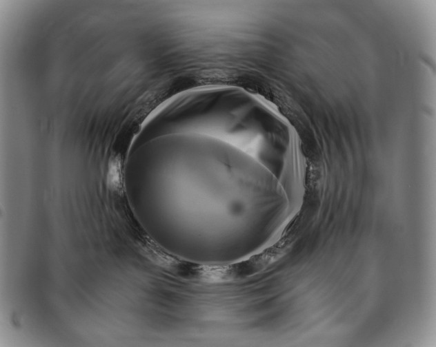 X0000096640143200802191228