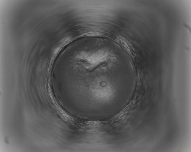 X0000096640145200802191227