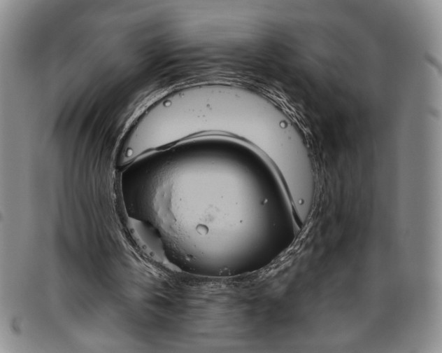 X0000096640146200802191227