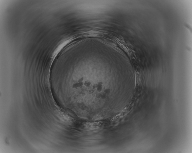 X0000096640147200802191227