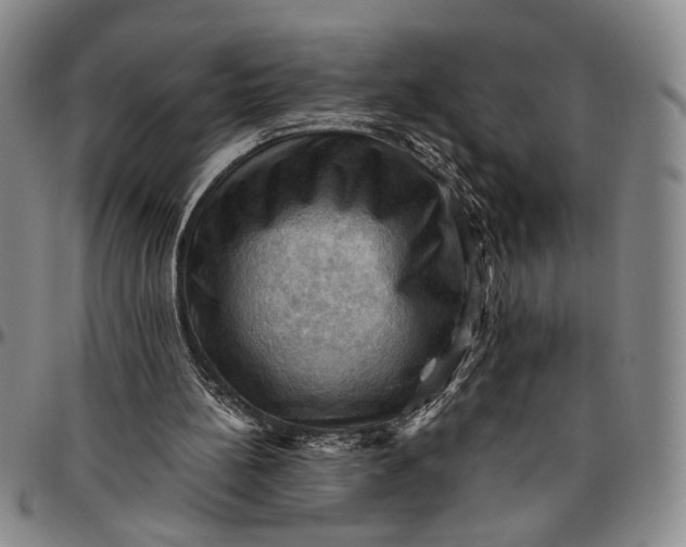 X0000096640148200802191227