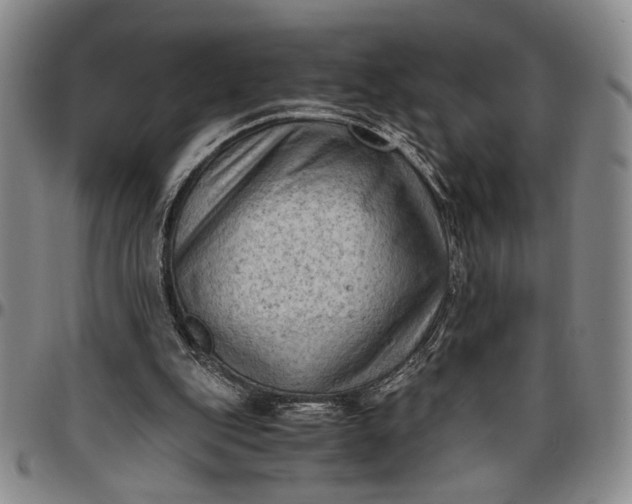 X0000096640151200802191227