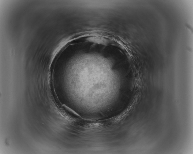 X0000096640152200802191227