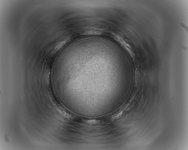 X0000096640153200802191227