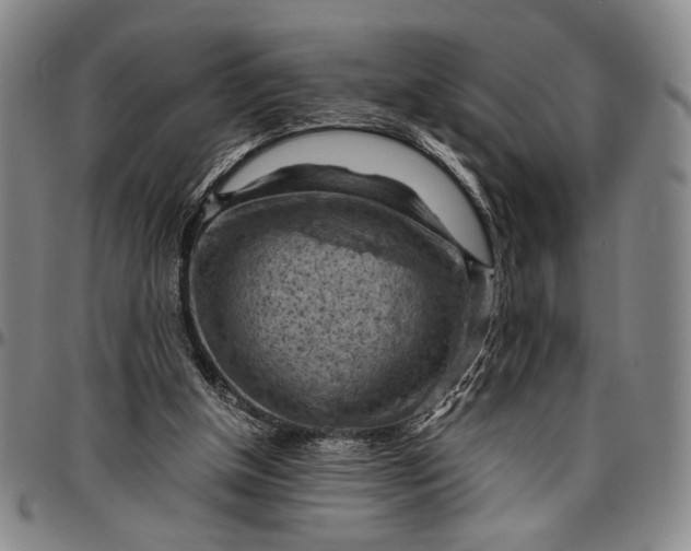 X0000096640154200802191227