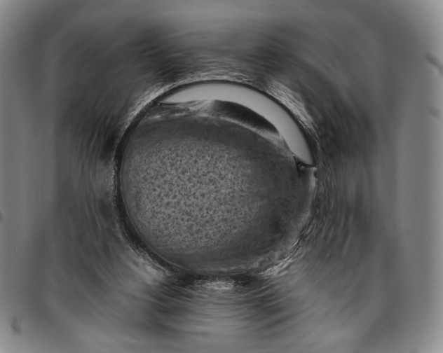 X0000096640156200802191227