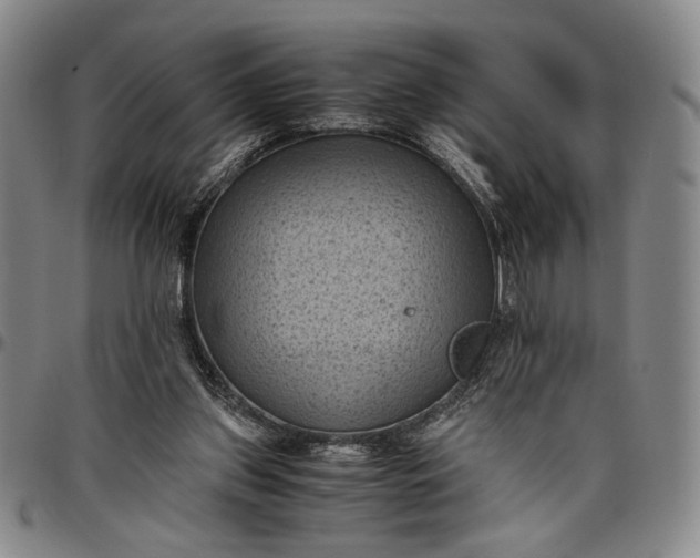 X0000096640157200802191227