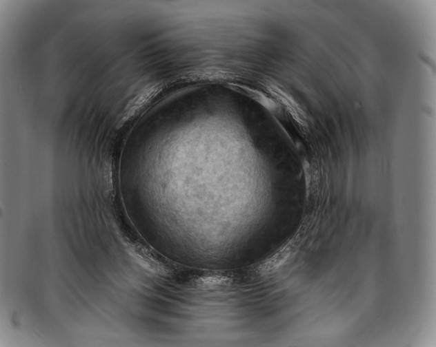 X0000096640158200802191227