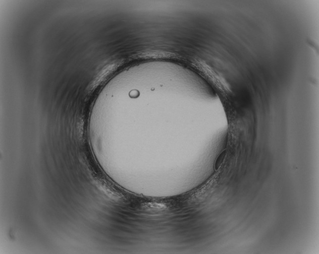 X0000096640159200802191227