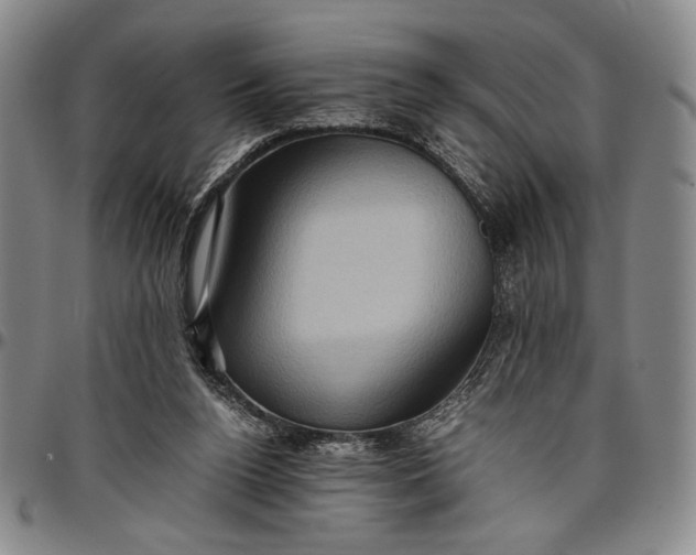 X0000096640160200802191227