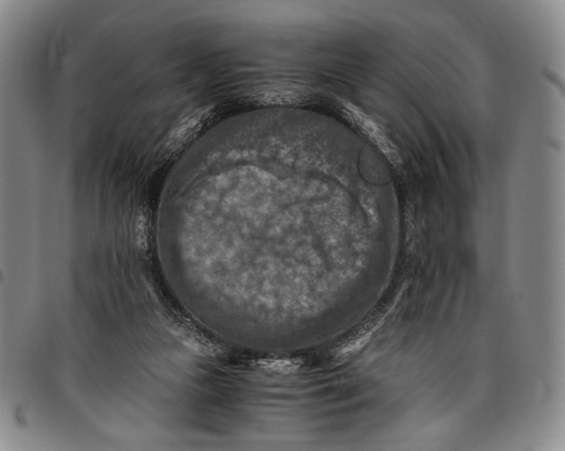 X0000096640161200802191227