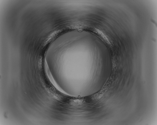 X0000096640163200802191228